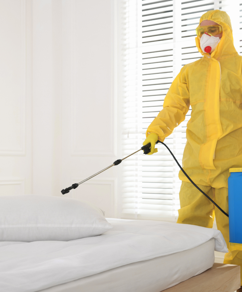Professional Pest Control Team in Woodville Gardens